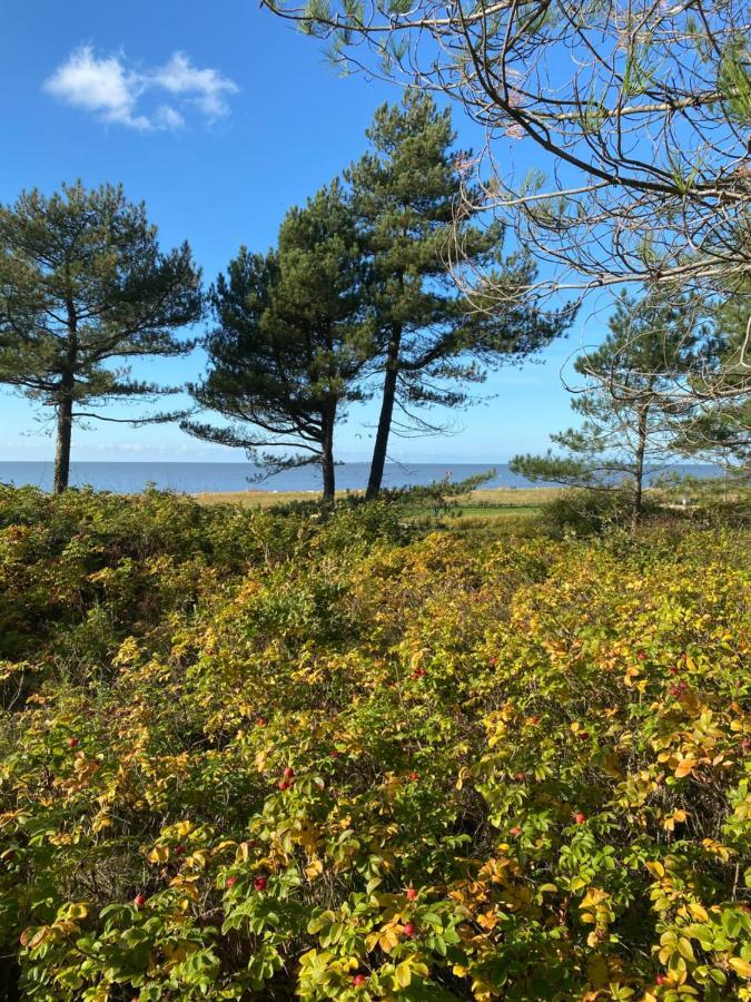 Altes Pastorenhus - Land Und Meer Osterbruch Exterior foto