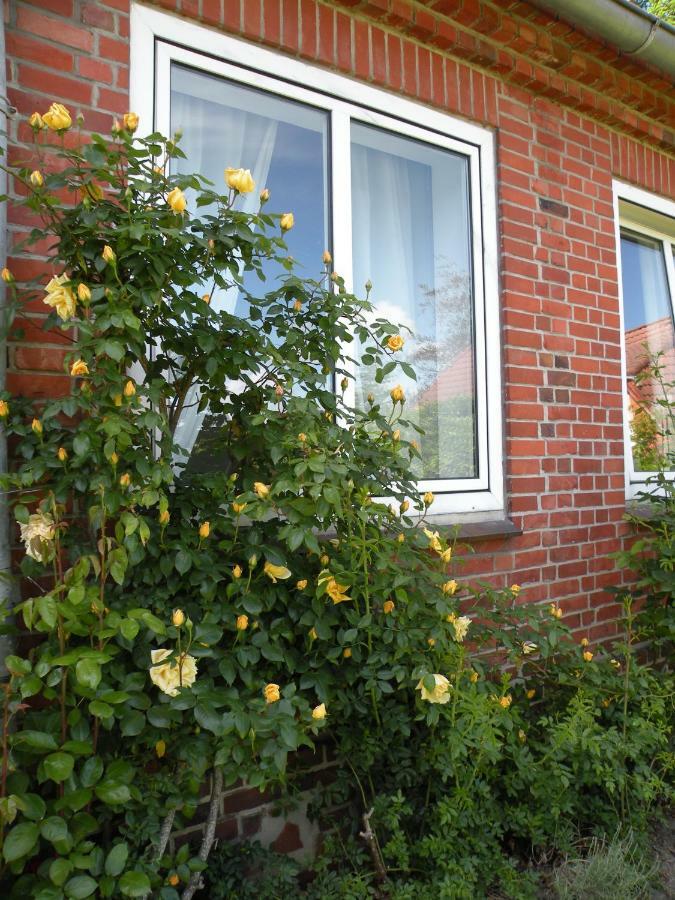 Altes Pastorenhus - Land Und Meer Osterbruch Exterior foto